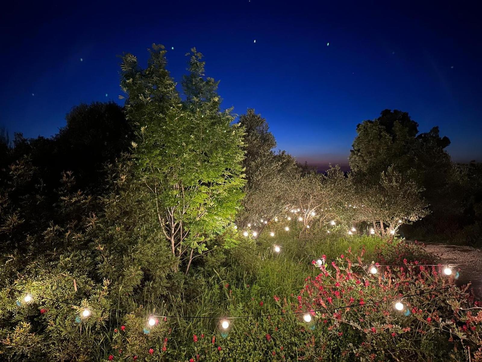 Glamping San Bart Hotel San Vincenzo Bagian luar foto
