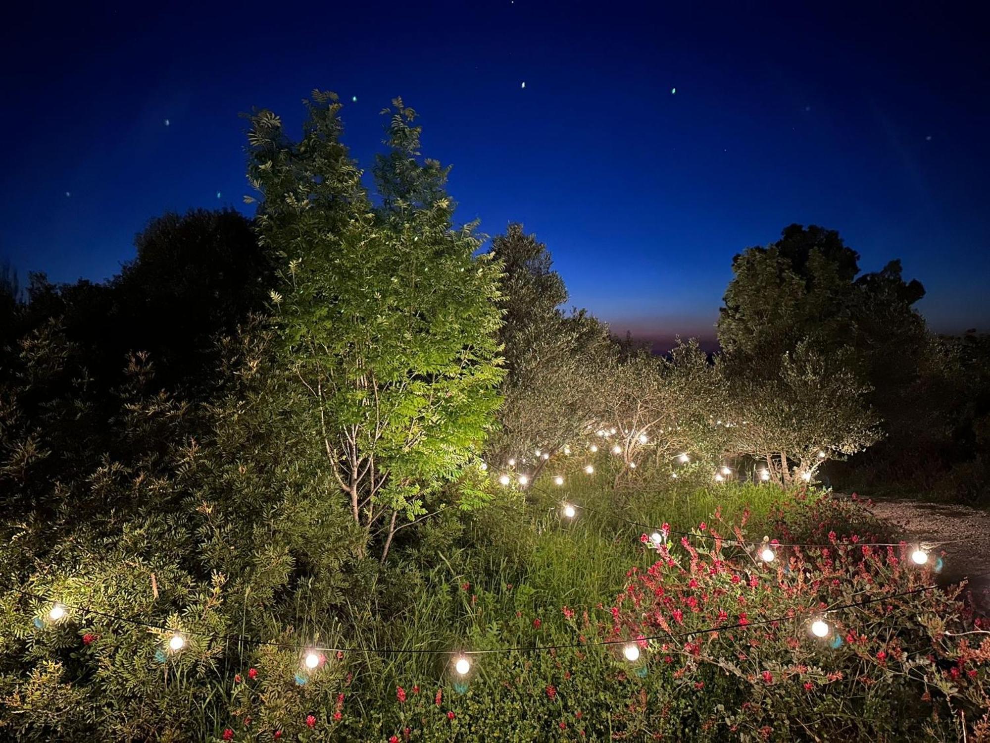 Glamping San Bart Hotel San Vincenzo Bagian luar foto